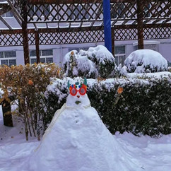 初雪依旧温暖 今年有你我相伴——记录2021年冬雪美好回忆